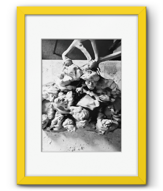Framed & Mounted 