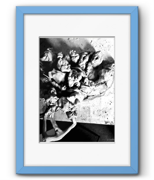 Framed & Mounted - A3